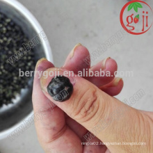 Black Goji Berry Extract wholesale black wolfberry extract